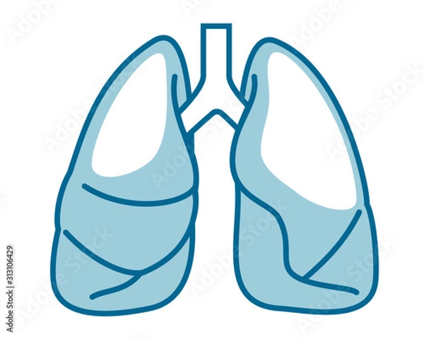 Obraz 人間の内臓のアイコンイラスト