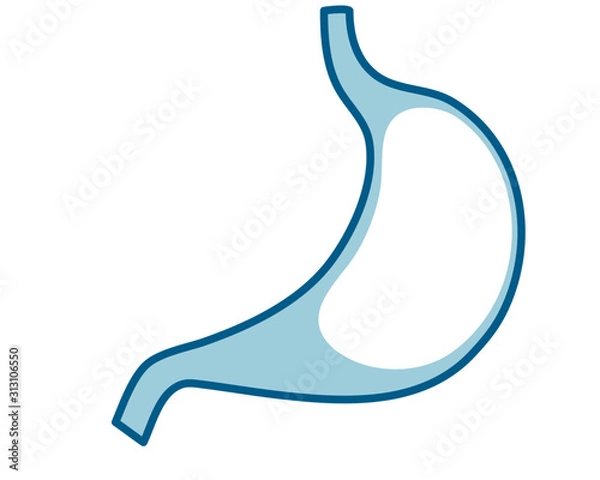 Obraz 人間の内臓のアイコンイラスト