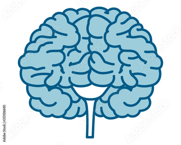 Obraz 人間の内臓のアイコンイラスト