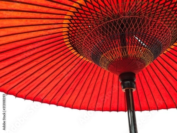 Obraz red fan on black background