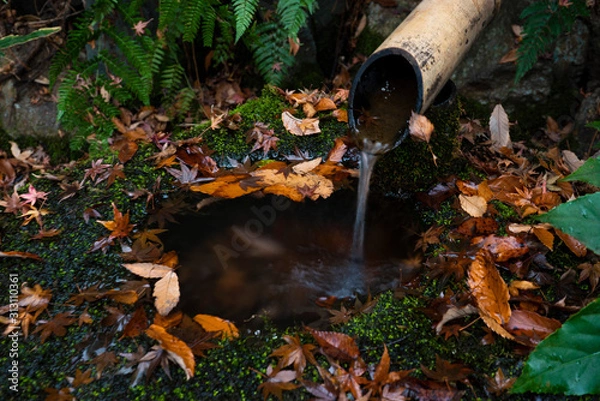 Fototapeta つくばい