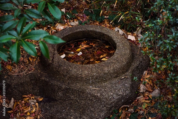 Fototapeta 手水鉢