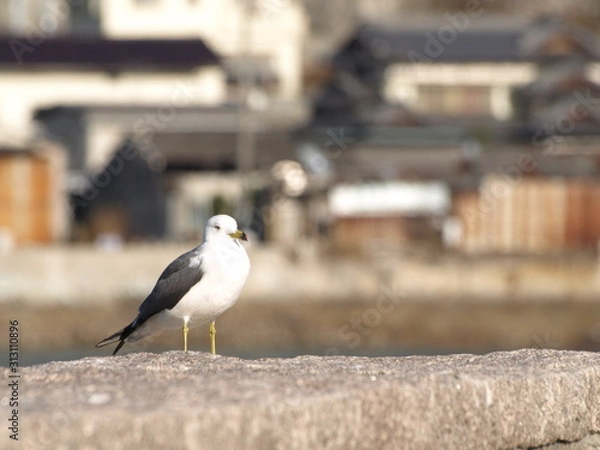 Fototapeta あるがまま