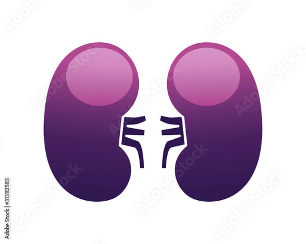 Obraz Human internal organs icon illustration