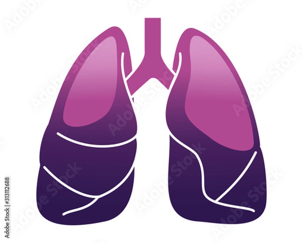 Obraz Human internal organs icon illustration