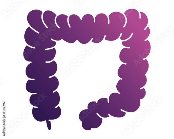 Obraz Human internal organs icon illustration
