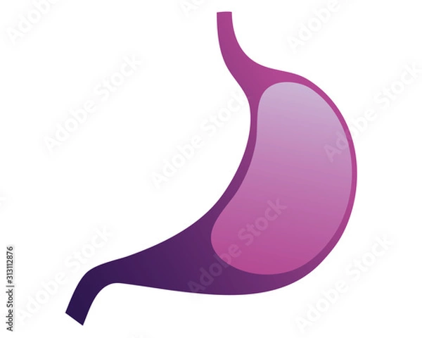 Obraz Human internal organs icon illustration