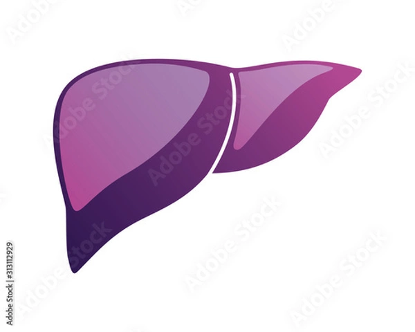 Obraz Human internal organs icon illustration