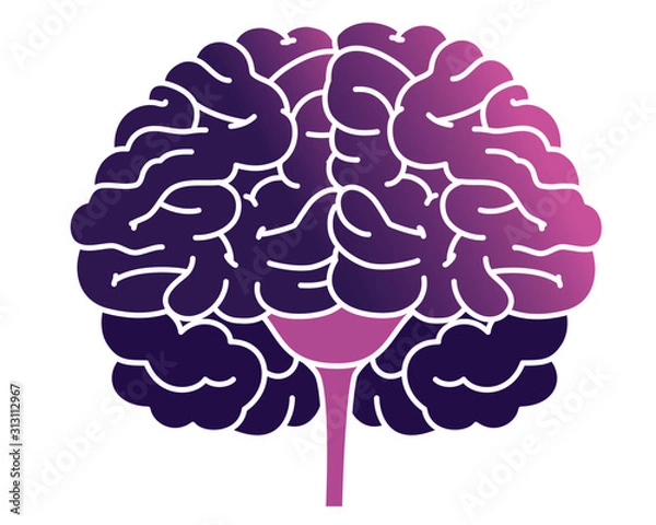 Obraz Human internal organs icon illustration