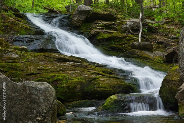 Obraz waterfall in forest