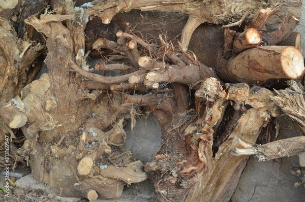 Obraz background tree pattern for graphic designers