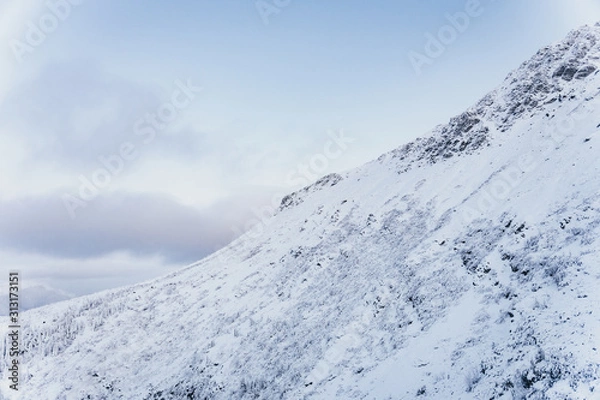 Fototapeta Snowy Mountains