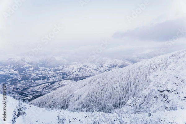 Fototapeta Snowy Forest With A View