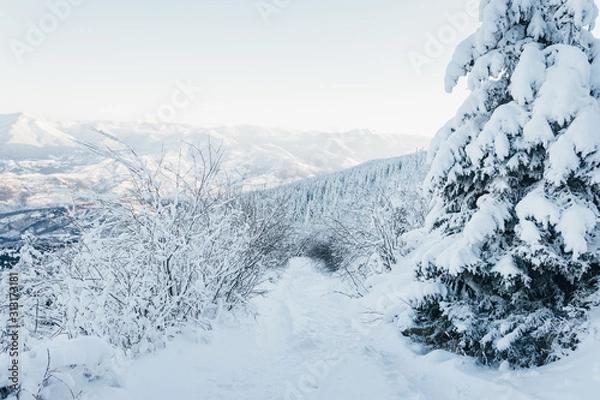 Fototapeta Winter Snowy Path