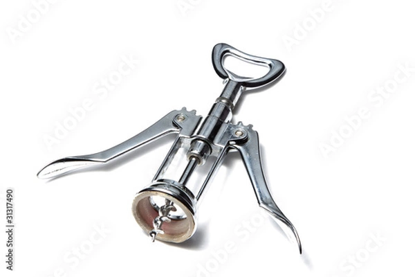 Obraz Corkscrew isolated