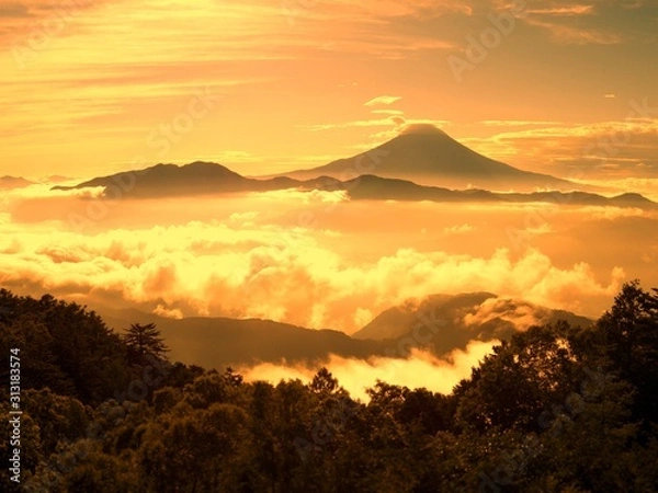 Fototapeta 朝焼けの富士景色