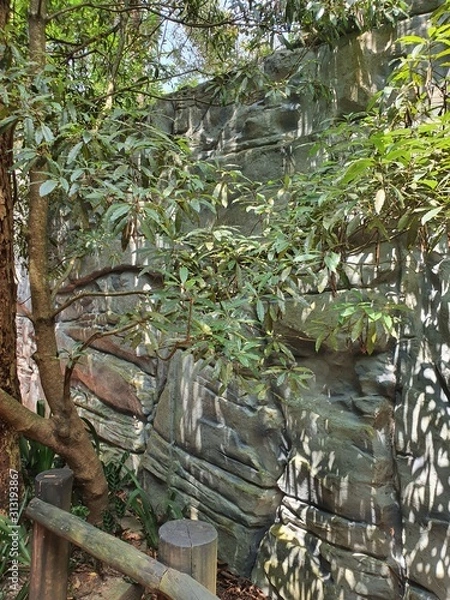 Obraz tree in garden