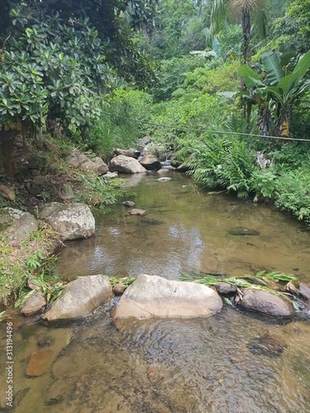 Obraz river in the forest