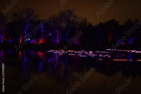 Obraz Christmas Lights Reflected