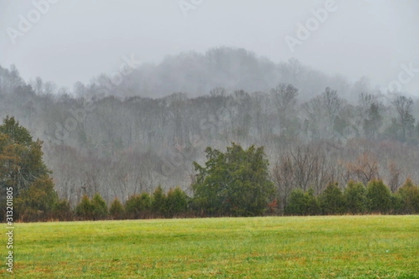 Obraz ridge in rain, winter