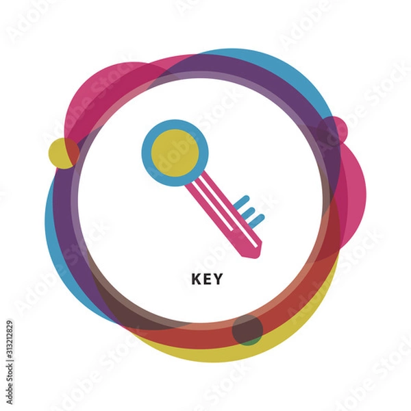 Obraz Key icon, modern minimal flat design style