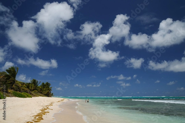 Obraz Flamenco Beach