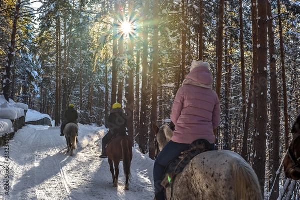 Fototapeta horse riding in winter in the forest