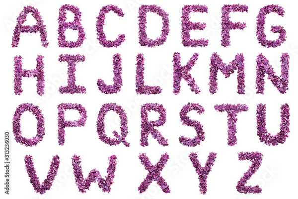 Obraz English alphabet of lilac petals isolated on white background