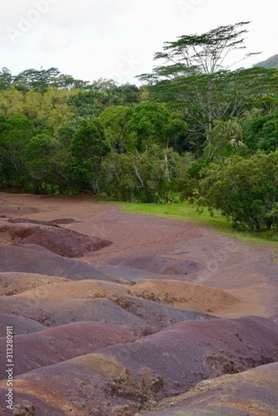 Fototapeta maurice 2018