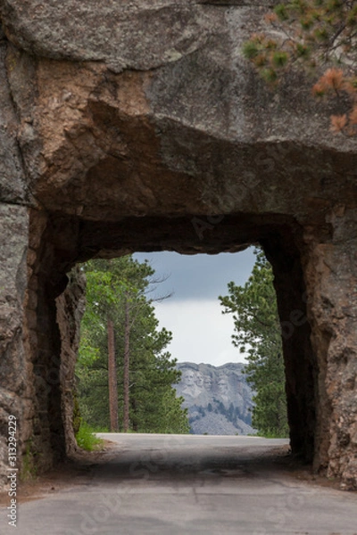 Obraz Scovel Johnson Tunnel