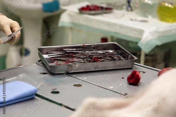 Obraz Surgical instruments after surgery are folded in the tray.