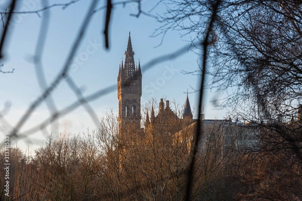 Obraz Through the trees