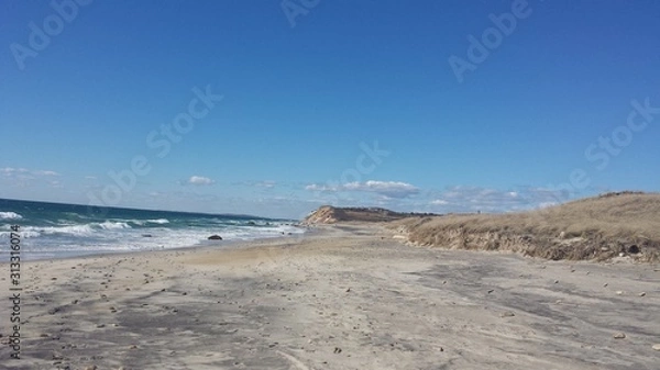 Obraz Winter day on Martha's Vineyard