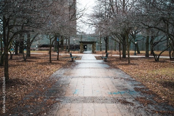 Obraz alley in the park