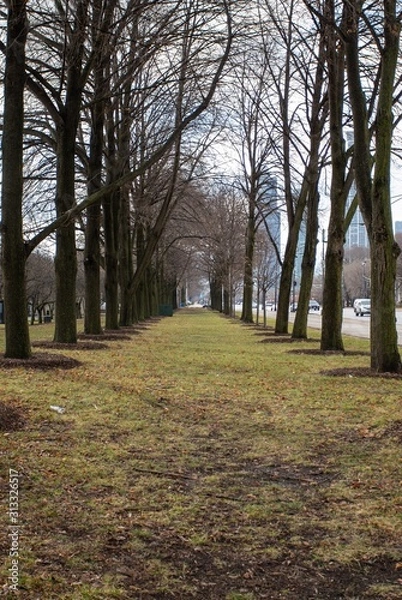 Obraz autumn in the park