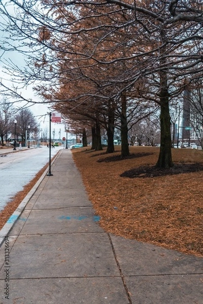Obraz crosswalk in the winter with flag 
