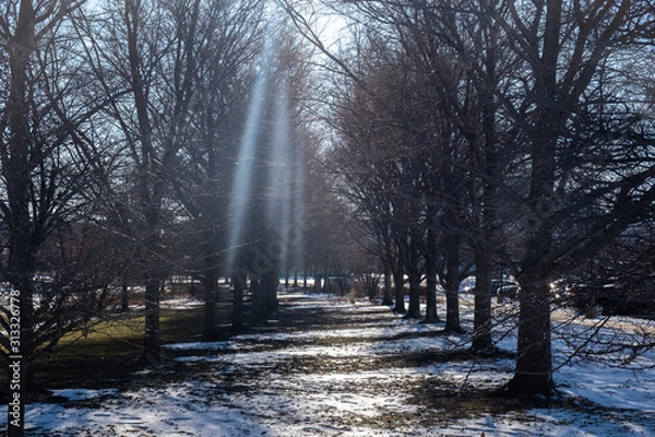 Obraz roadwalk in the winter 