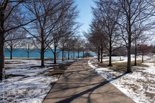 Obraz winter in the park