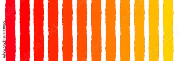 Fototapeta Strips of multi-colored paper with a smooth gradient from bright red to sunny yellow and white isolated paper with torn edges between them. Ability to cut any strip.