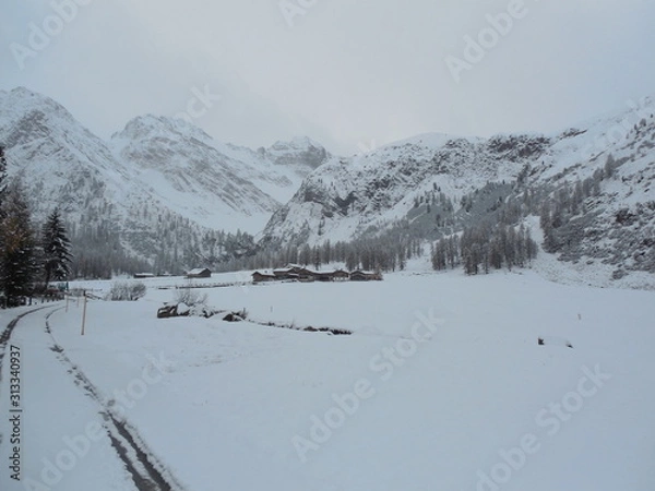 Obraz malen auf weiß