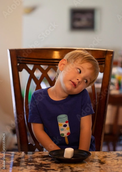 Obraz Young child sitting at a table waiting patiently for a marshmallow