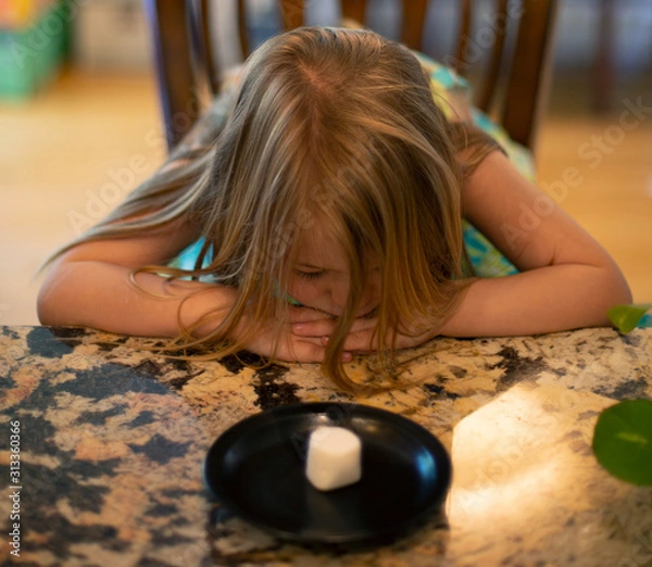 Obraz Young child sitting at a table waiting patiently for a marshmallow