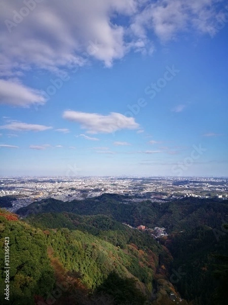 Fototapeta 高尾山