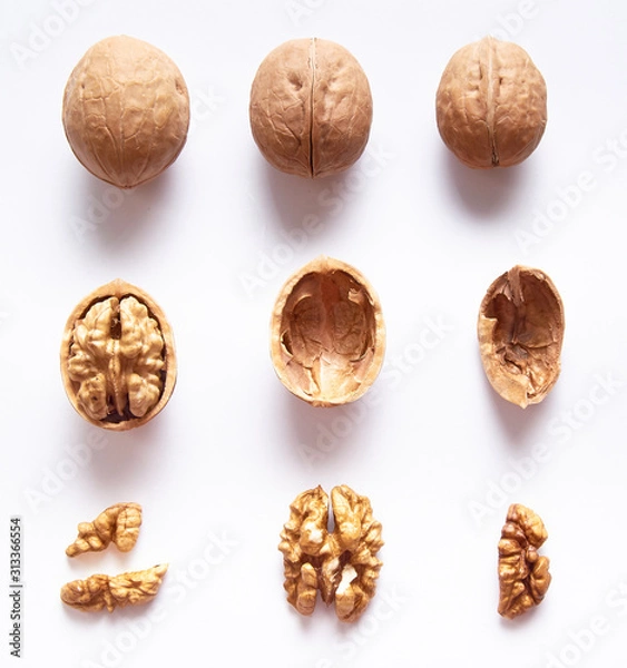 Obraz Walnuts whole and open, walnut kernels shell on a white isolated background. The view from the top. Close up.