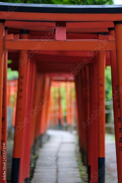 Fototapeta 神社