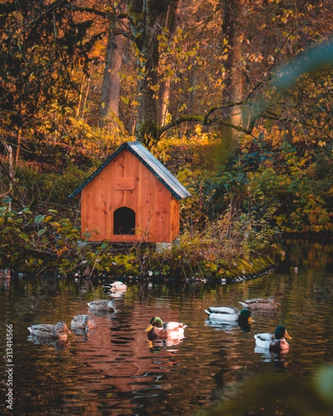 Obraz Daheim ist am Schönsten