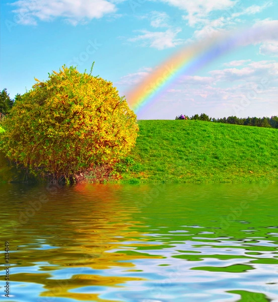 Obraz rainbow over the green meadow
