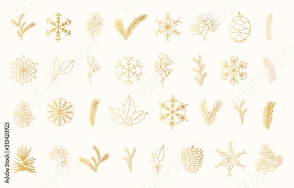 Fototapeta Big set of hand drawn golden branches of pine, spruce, fir trees, mistletoe and holly. Winter herbs and snowflakes for Christmas decoration. Vector isolated gold holiday design elements.