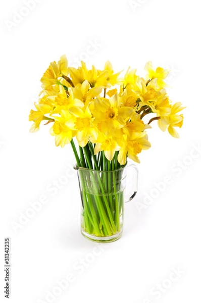 Obraz Daffodils bouquet