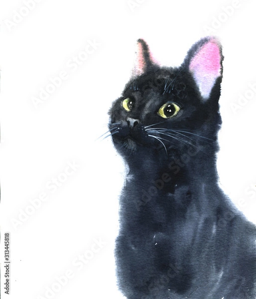 Fototapeta Realistic illustration of black watercolour cat looking up isolated on white